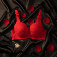 Gemini_Generated_Image_b0hszjb0hszjb0hs برا حريمي لوكس دانتيل-4 كبشة - أناقة -دعم - راحة -خامه فاخرة