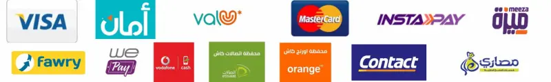 وسائل الدفع